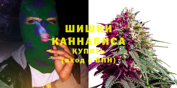 a pvp Магас